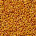 Мастербатч жёлтый (POLYCOLOR YELLOW 04057